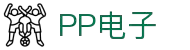 pp电子(中国)官方网站